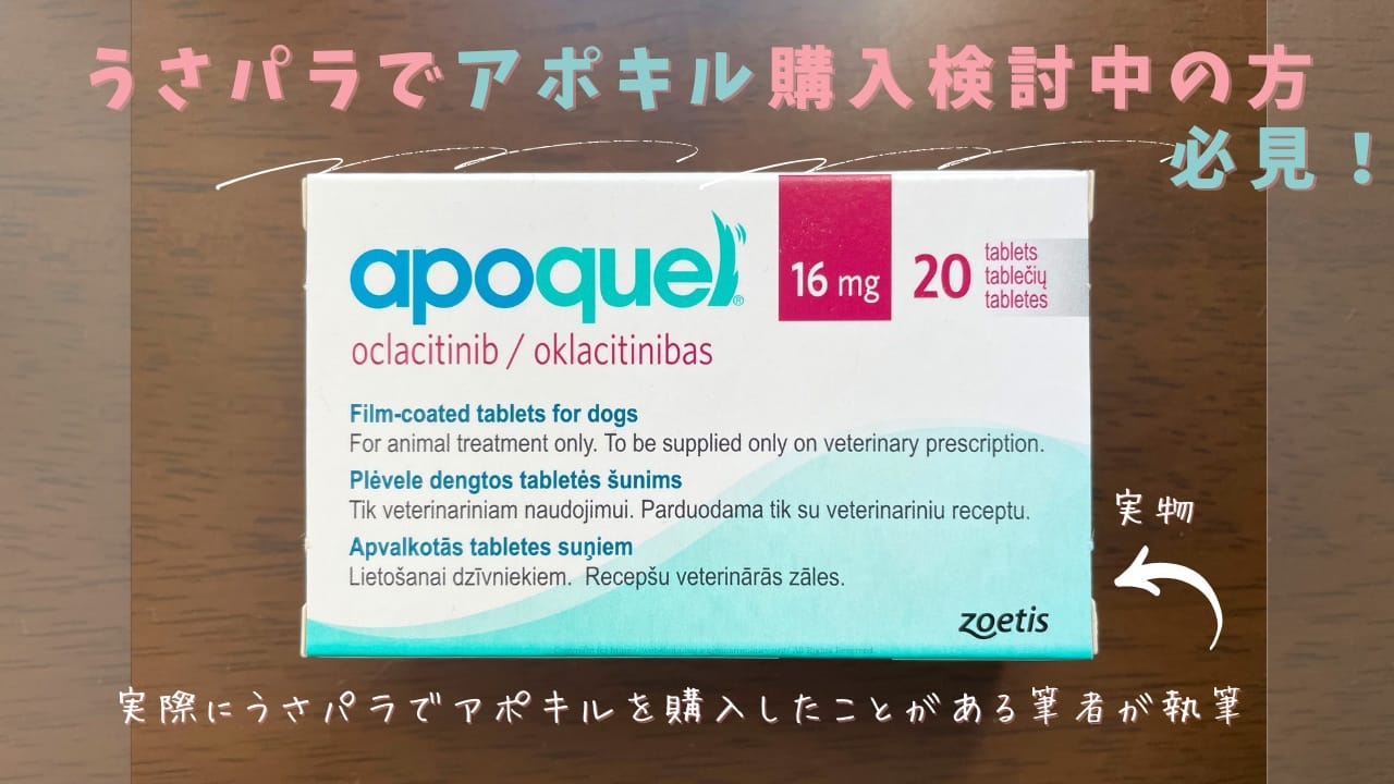 アポキルの通販最安値・うさパラでアポキルに使えるクーポン情報(うさパラで実際にアポキルを購入した筆者が執筆)