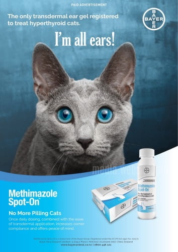 猫用甲状腺機能亢進症「メチマゾールスポットオン」