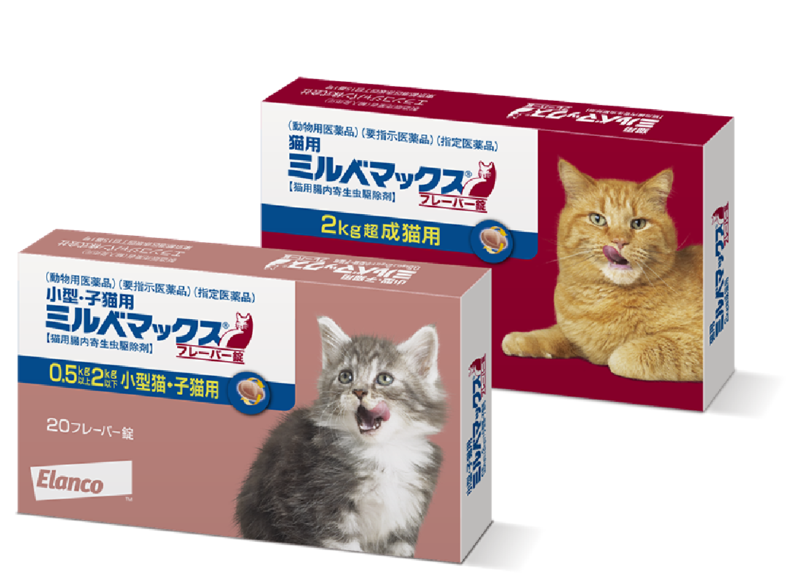 【ミルベマックス】猫用のフィラリア予防薬経口タイプの正規品を安全に通販で購入