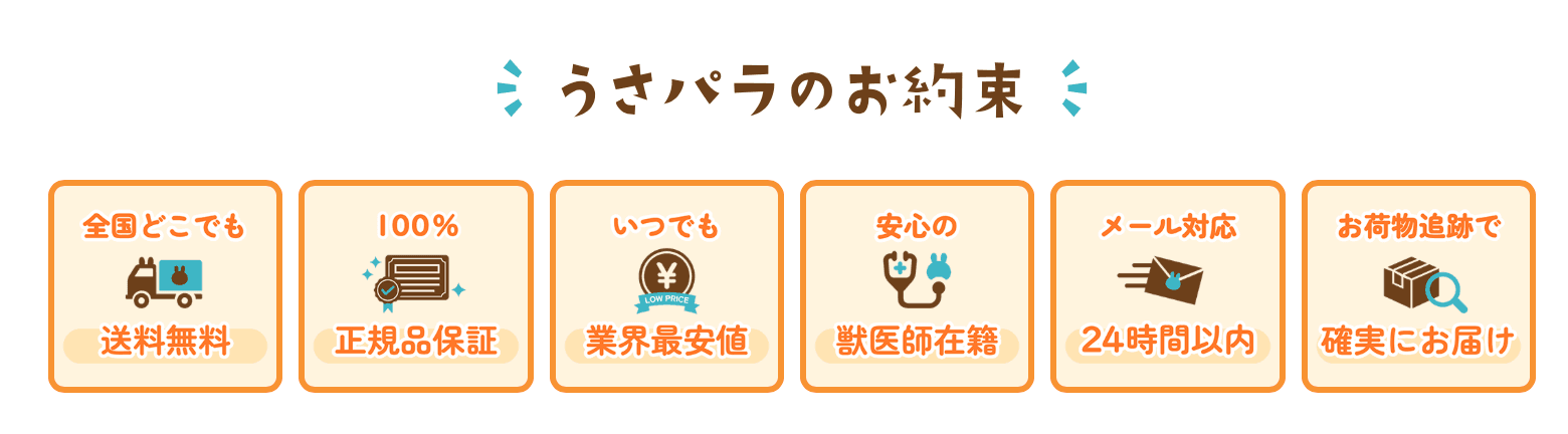 【うさパラからお客様へのお約束】うさパラで安心して購入できる6つの理由とサービス内容をまとめたイラスト