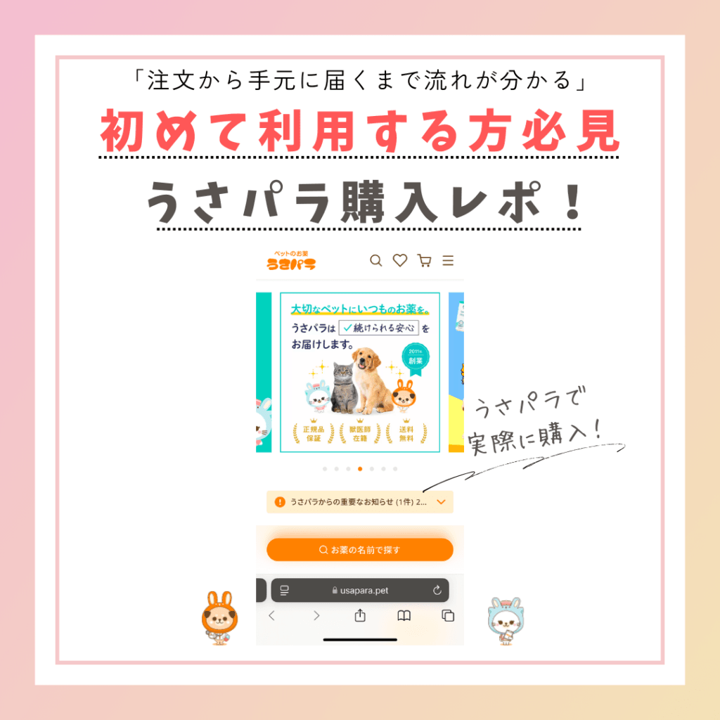 うさパラで実際に購入した体験レポート「注文から手元に届くまでを実体験のリアルな口コミで使い方解説」