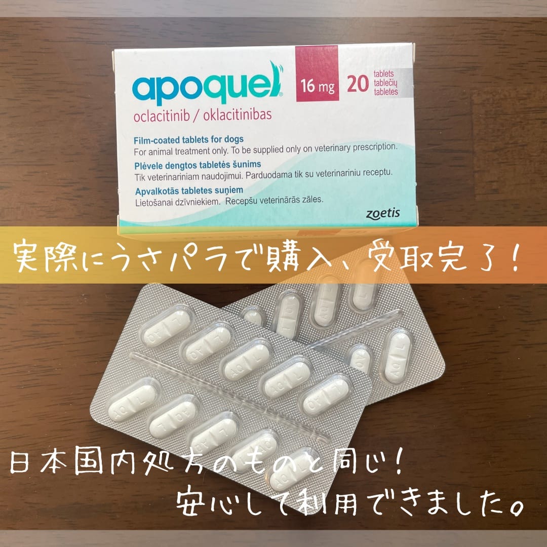 実際にうさパラで購入した商品が何の問題もなく安全に届き正規品であることも確認ができた(このときはアポキルを購入)